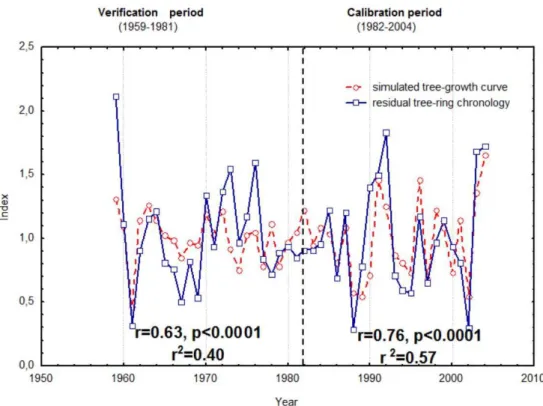 Fig. 2. Variations of initial tree-ring residual chronology (blue solid line) and simulated tree-growth curve (red dashed line) for calibration period (1982–2004) and verification period (1959–1981).