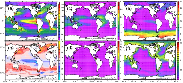 Fig. 2. The annual rate of (a) NPP (gC m − 2 yr-1), (b) air-sea CO 2 exchange (gC m − 2 yr − 1 ), (c) N 2 fixation (gN m − 2 yr − 1 ), (d) denitrifica- denitrifica-tion (gN m − 2 yr − 1 ) in 2000 and surface concentrations of (e) NO 3 (µM) and (f) Fe (nM) 