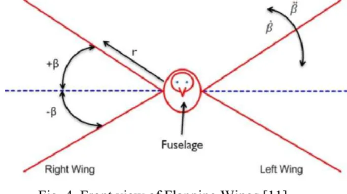Fig. 4  Front view of Flapping Wings [11] 