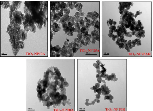 Figure 1. TEM images of the as-received TiO 2 NPs.
