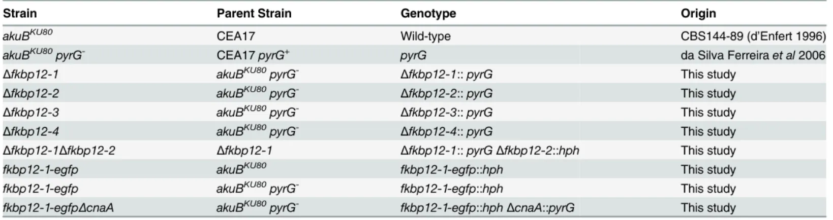 Table 1. Strains used in the Present Study.