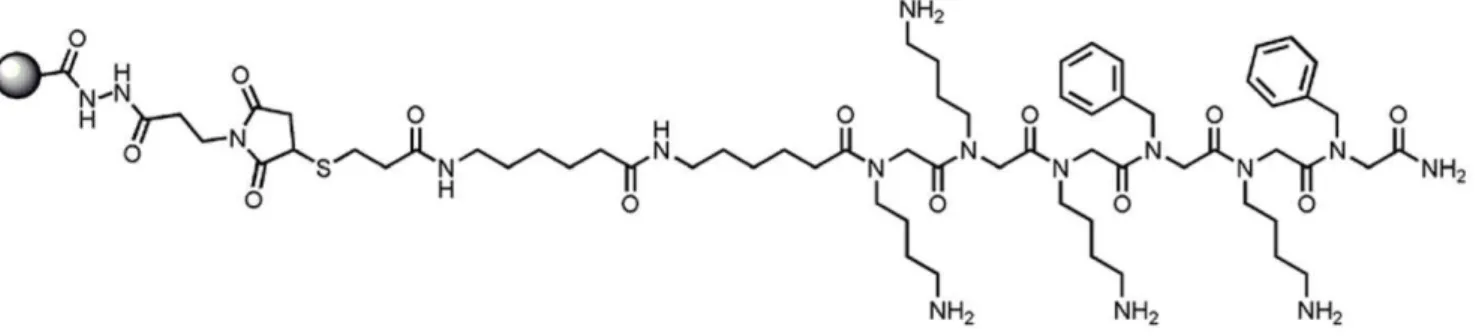 Figure 1. Aggregate Specific Reagent 1 (ASR1). Chemical structure of ASR1 peptoid conjugated to a solid surface.