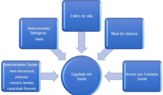 Figura 8: Equidade em Saúde e as suas determinantes propostas por Furtado e Pereira, 2010.