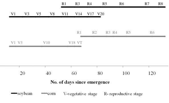 Fig. 3. Growth stages for maize and soybean. Maize: V1–V18 = vegetative growth stages from single leaf to 18-leaf stage; VT = tasseling; R1–R6 = reproductive growth stages; R1 = silking;