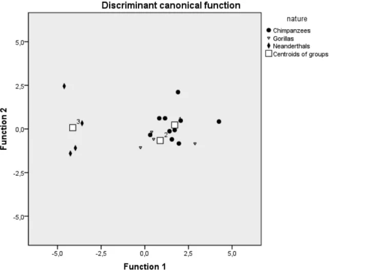 Fig 4. Discriminant analysis. The canonical discriminant analysis plot shows NHP and Neanderthal samples
