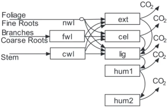 Fig. 2. Relaxed equilibrium assumption: All pools are assumed to be in equilibrium except the slowest pool (hum2)