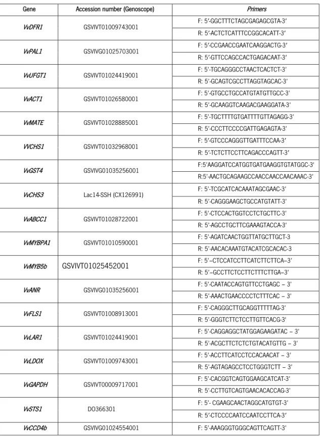 Table 1. Primers forward (F) and reverse (R) used in qPCR studies for gene expression