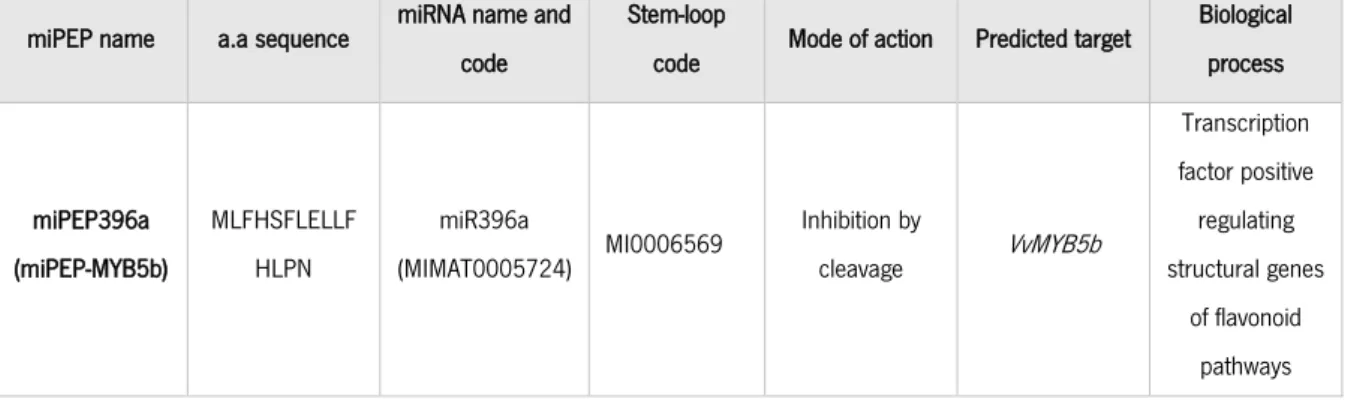 Table 2. Detailed information about miPEP-MYB5b identified by an  in silico  analysis and selected for the study
