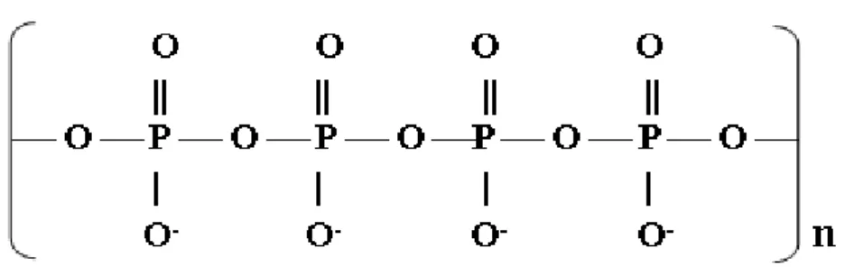 Figure 3 Example of poly-P linear structure. 