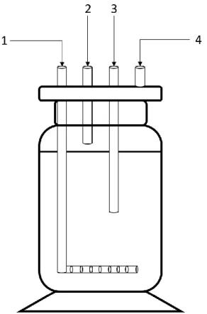 Figure  8  Representation  of  the  lab  sized  bioreactor  used.  There  were  3  tubes  permanently  connected  to  the  bioreactor,  namely  tubes  1,  2  and  3