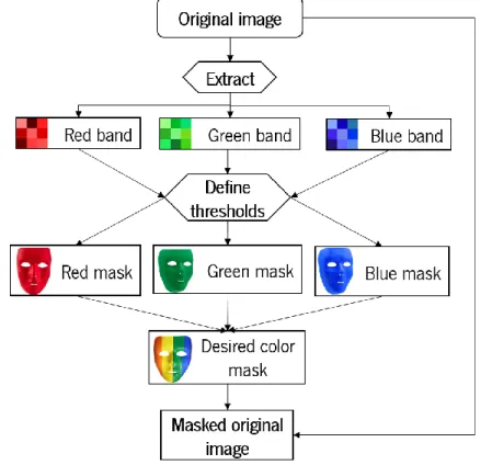 Figure 10 Representation of the RGB_mask_segmentation.m script’s workflow. 
