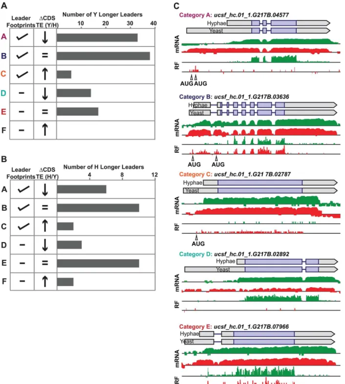Fig 8. Ribosome footprint density patterns suggest categories of translational regulation for longer leader transcripts