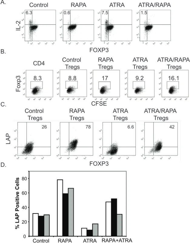 Figure 4. Tregs expanded with RAPA, but not ATRA, induce infectious tolerance. A. Enriched Tregs were expanded in the presence of the indicated compounds
