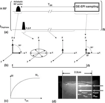 Fig 1. Schematic diagram of the SR-T 1 MRI sequence and spin magnetization evolution in rotating frame
