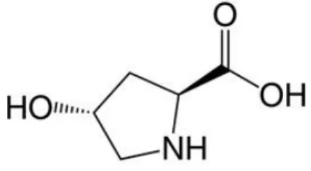 Figura 3: Estrutura química da trans-4-hidroxi-L-prolina  29 .