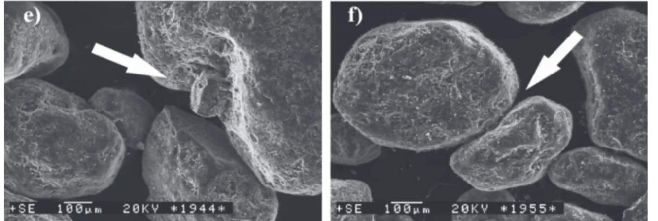 Fig. 5:  SEM images of high-silica base. Conglomerates and concentration places of wet activated ilm of glassy sodium  silicate are marked with arrows: (a) fresh high-silica sand; (b) after irst cycle; (c) after second cycle; (d) after  third cycle; (e) af