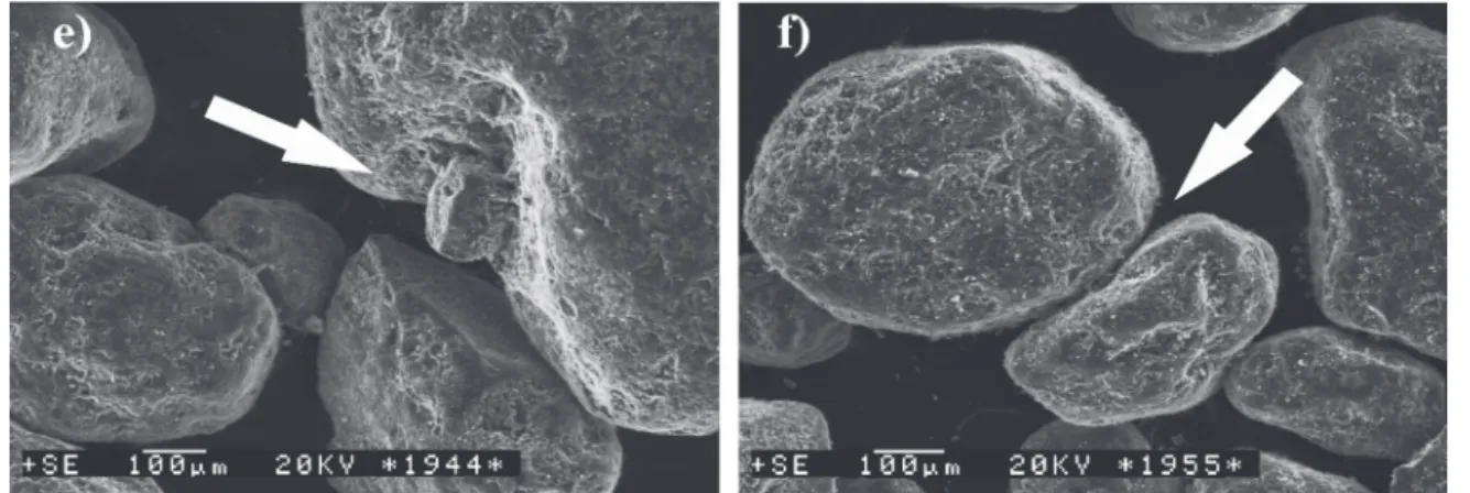 Fig. 5:  SEM images of high-silica base. Conglomerates and concentration places of wet activated ilm of glassy sodium  silicate are marked with arrows: (a) fresh high-silica sand; (b) after irst cycle; (c) after second cycle; (d) after  third cycle; (e) af