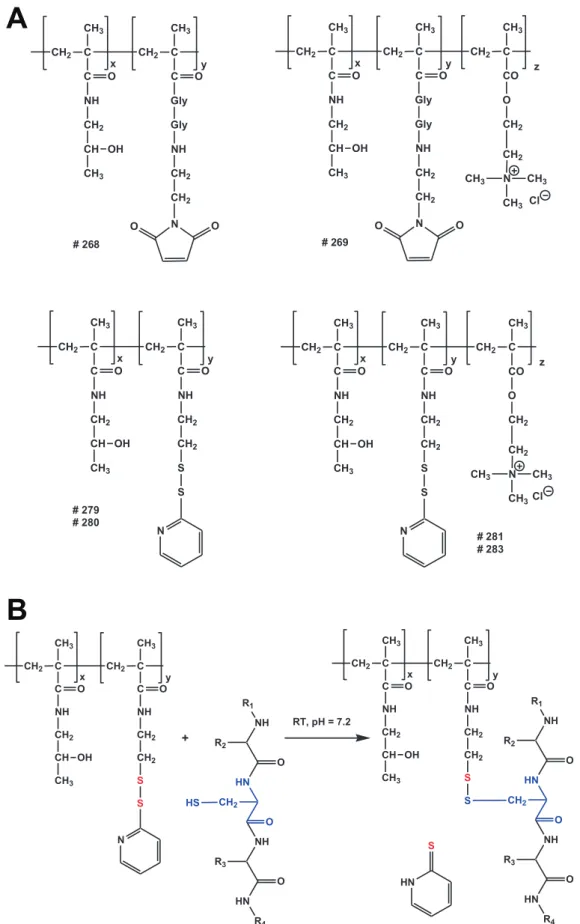 Figure 1. HPMA copolymer structure and bioresponsive shielding of Ad. A: Overview over the chemical structures of the HPMA copolymers.
