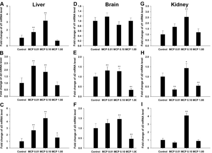 Fig. 5B). The measured plasma cortisol content was 142.01 6 24.11 ng/mL in the control female goldfish and was significantly decreased to 74.53 6 18.26 ng/mL and