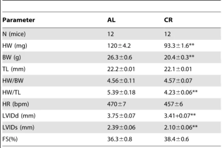 Table 2. Cardiac gravimetric and echocardiographic data.