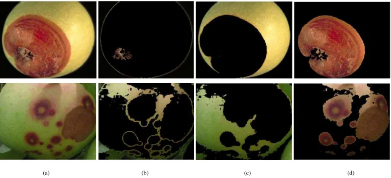 Fig. 7. Defect segmentation results of apples (a) Images before segmentation, (b) Images after segmentation