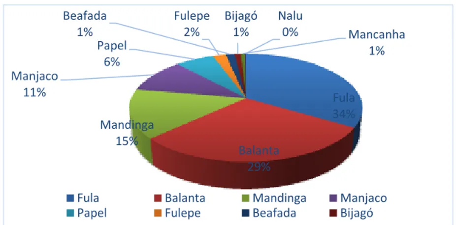 Gráfico 1: Revela % das línguas étnicas do país. 