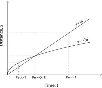 Fig. 1. The relationship between characteristic length, ∆ x, and time, t, scales under vary- vary-ing Peclet number conditions