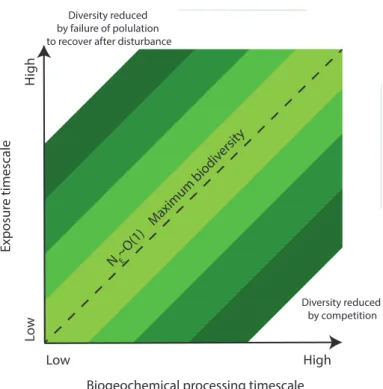 Fig. 6. The relationship between N E and biodiversity. This is likely to hold true for microbial diversity as well as landscape-scale biodiversity