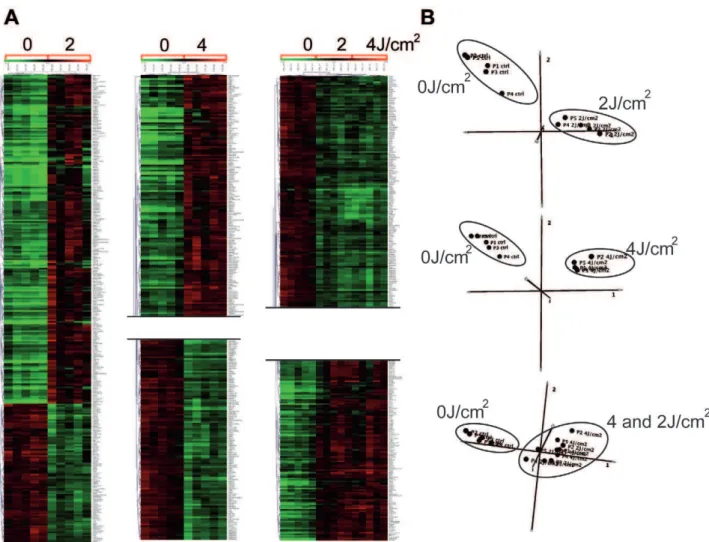 Figure 2. Gene and sample classification analyses. Hierarchical Clustering (HC) (A) and Principal Component Analysis (PCA) (B) (Mev 4.4) were used to classify the differentially expressed genes after SAM normalization