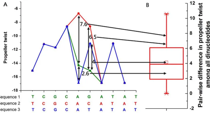Figure 1. Significantly different changes in DNA structure by similar changes in DNA sequence