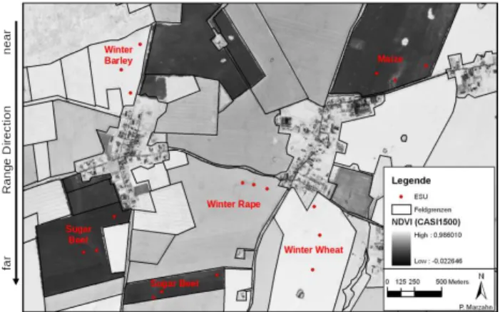 Figure 2. location of sample points (red). (101: Winterrape; 222: