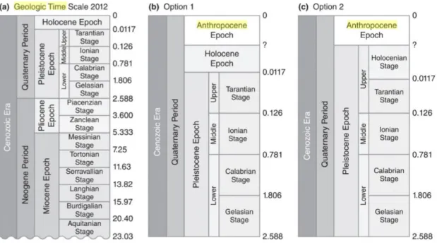 Figura 4 - Potenciais revisões do Quaternário para incluir o Antropoceno.   