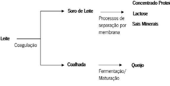 Figura 1 – Representação esquemática do processo de produção do soro de leite. 5