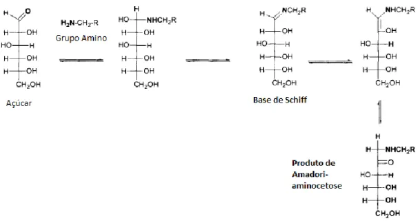 Figura 2 -- Fase inicial da reação de Maillard, da condensação entre o açúcar e o grupo amino à formação do  produto de Amadori