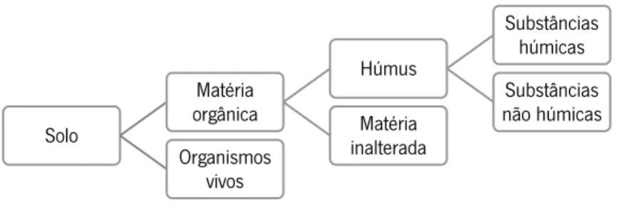 Figura  1.  Representação  hierárquica  dos  diferentes  componentes  orgânicos  do  solo