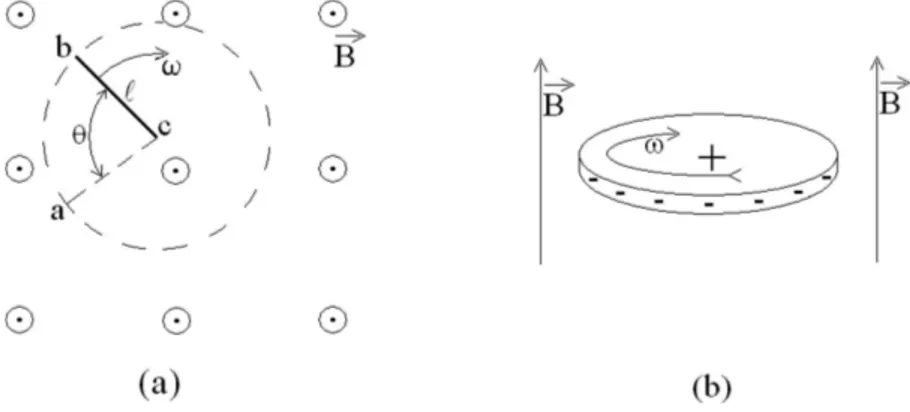 Figura 2 - a) Uma haste met´ alica de comprimento ℓ gira com velocidade angular ω, presa por uma de suas extremidade, sobre um plano perpendicular ao campo magnιtico, varrendo um c´ırculo de raio igual ao seu comprimento