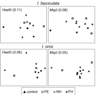 Figure 2. Electron micrographs of I. fasciculata bacteria at the end of the experiment
