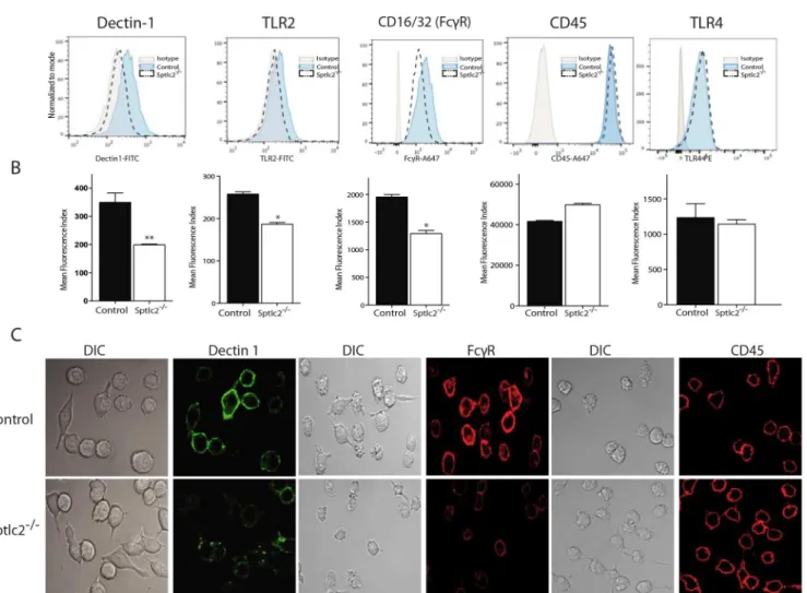 Fig 7. Sptlc2 -/- cells express reduced level of pattern recognition receptors at the cell surface