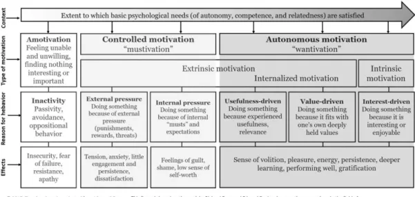 Figura 2. Visser, C.F. (2017). The motivation continuum: self-determination theory in one picture