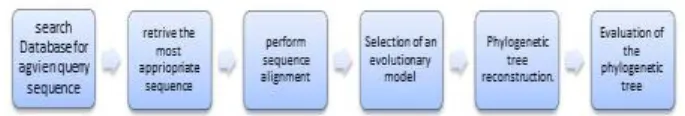 Figure 1 shows a simple workflow example for constructing phylogenetic tree to a given sequence