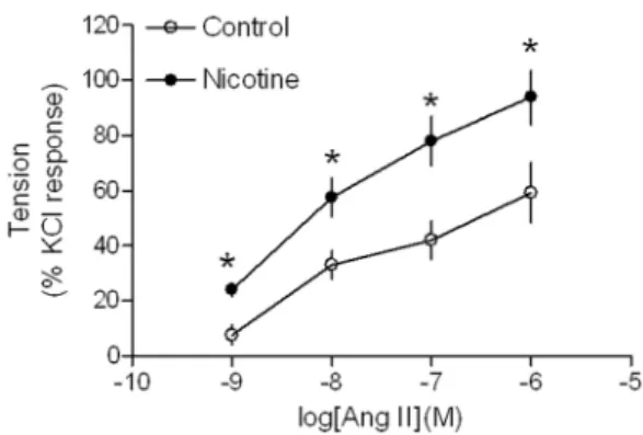 Figure 2. Effect of nicotine on Ang II-induced 20-kDa myosin light chain (MLC 20 ) phosphorylation in aortic rings in adult offspring