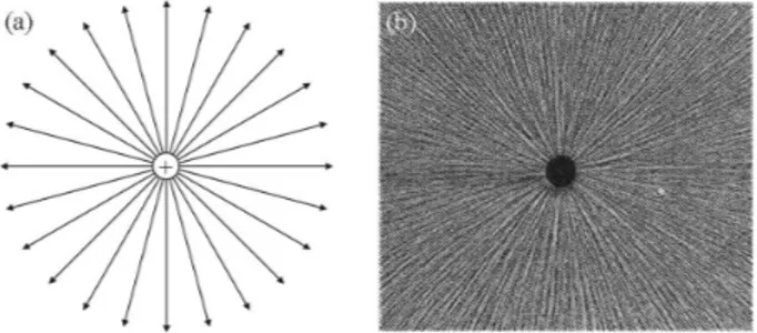 Figura 8 - a) Representa¸c˜ ao do campo el´ etrico atrav´ es de linhas de for¸ca, para o caso de uma carga pontual; b) Visualiza¸c˜ ao das linhas de for¸ca atrav´ es de fiapos de tecidos suspensos em ´ oleo (Foto de Harold M