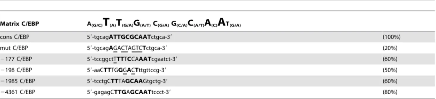 Table 2. Probes used for the EMSA experiments with SP1.