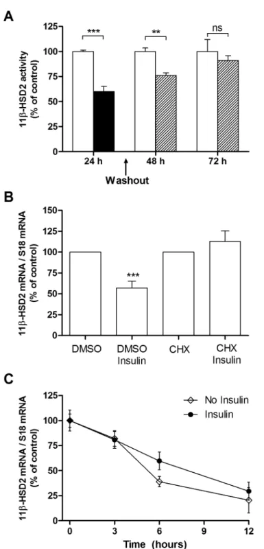 Figure 2. Insulin-dependent decrease of 11beta-HSD2 activity and mRNA is reversible but HSD11B2 half-life is not affected