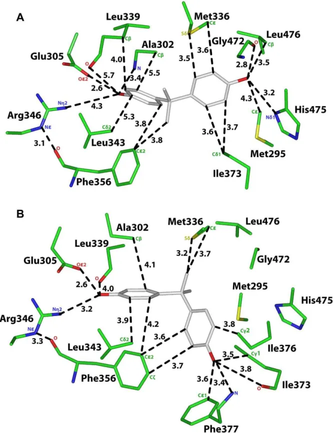 Figure 6. Analysis of two 3D models of BPA in human ERb. A. 3D model of BPA in orientation 1 in human ERb