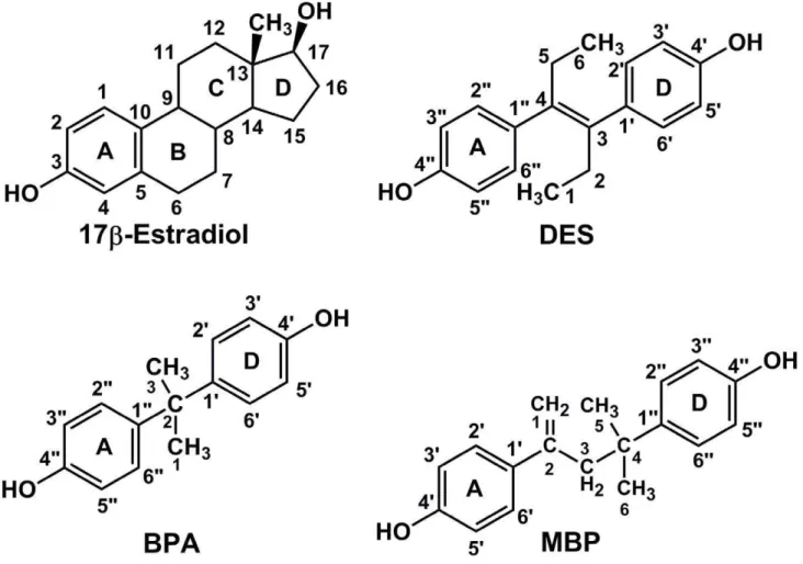 Figure 1. Structures of MBP, BPA, E2 and DES. MBP, BPA and DES have a phenolic ring that can mimic the A ring on E2 in binding to ERa and ERb