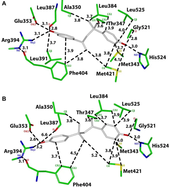 Figure 2. Analysis of two 3D models of MBP in human ERa. A. 3D model of MBP in orientation 1 in human ERa
