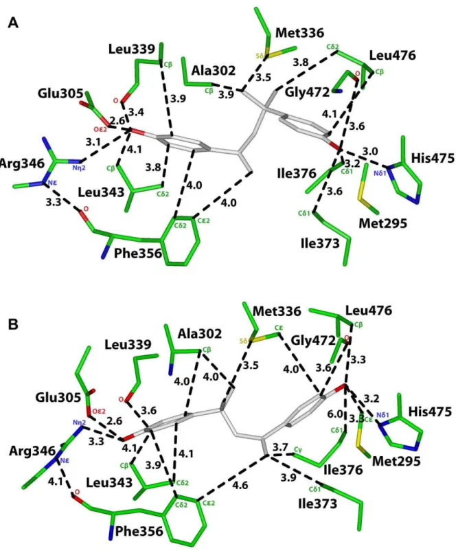 Figure 4A shows MBP in Orientation 1 in human ERb. For comparison, in Figure 3B, we show E2 in human ERb [28]