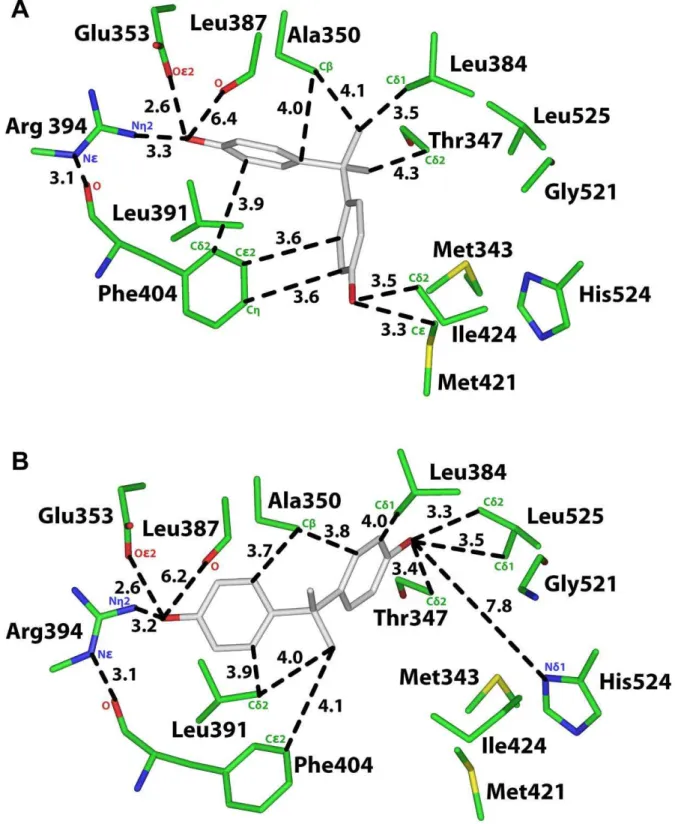 Figure 5. Analysis of two 3D models of BPA in human ERa. A. 3D model of BPA in orientation 1 in human ERa