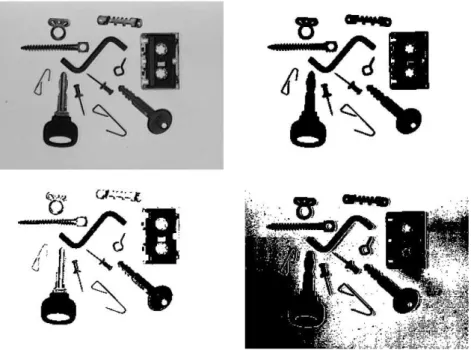 Figura 3.7 - Exemplos de segmentação de imagens por intensidade usando threshold simples [44] 